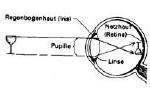 abbildung1a.jpg (4813 Byte)